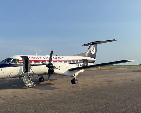 Baden auf Sansibar & Standort-Rundreise im Africa Safari Camp Selous-3
