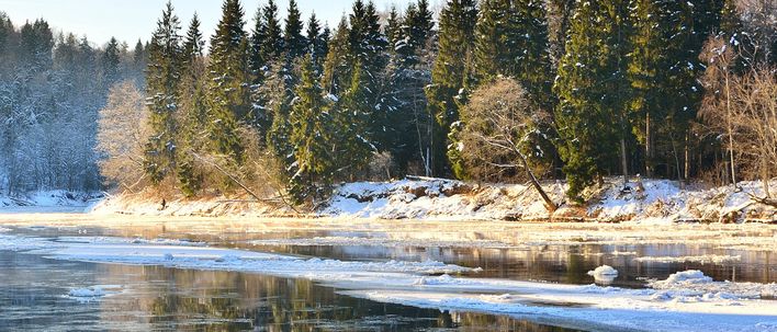 Blick vom See auf den Gauja-Nationalpark in Lettland