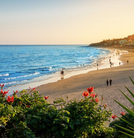 Strand auf Fuerteventura