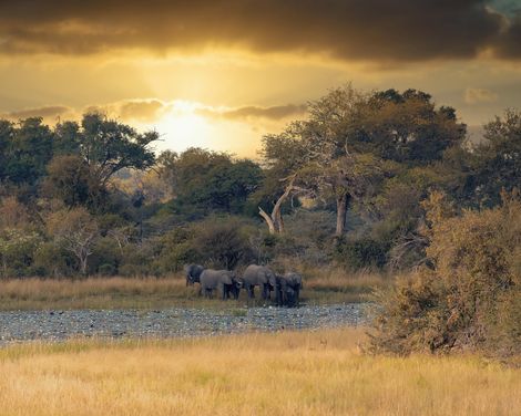 Safari, Wüste und Wasserwunder in Südwestafrika-2