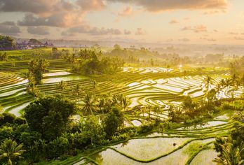 Indonesien - Bali Nord & Süd 