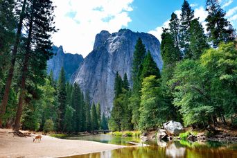 Yosemite Nationalpark in den USA