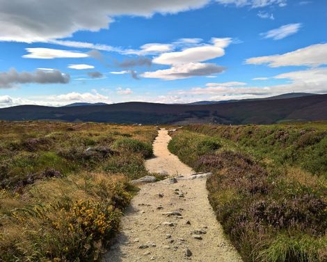 Baustein-Rundreise ab/an Dublin: Wandern in den Wicklow Mountains