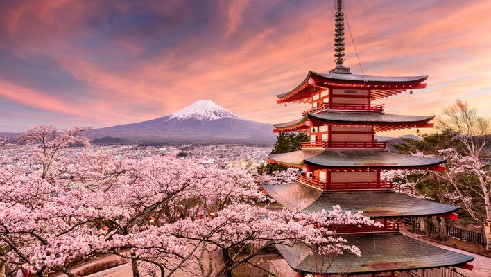Blick auf den Mount Fuji während der Kirschblüte