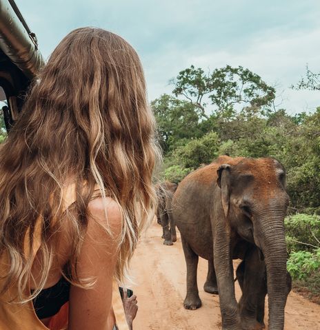 Frau sieht auf einer Safari Elefanten