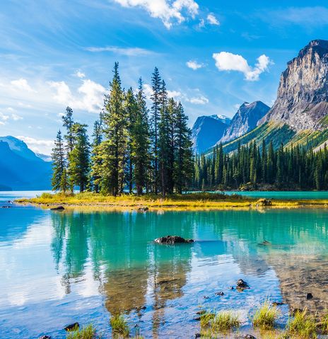 Blick auf einen türkisfarbenden See im Jasper Nationalpark in Kanada