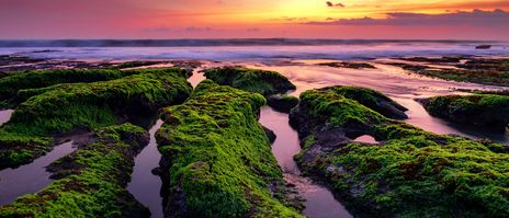 Küstenlandschaft bei Denpasar mit Mangroven, Wasserarmen und Sonnenuntergang auf Bali
