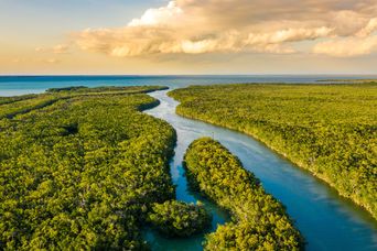 Luftaufnahme von Everglades Nationalpark