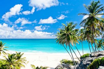 Weißer Strand auf Barbados 