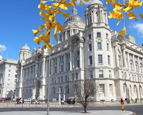 Kreuzfahrt mit MSC Preziosa ab/an Hamburg-1