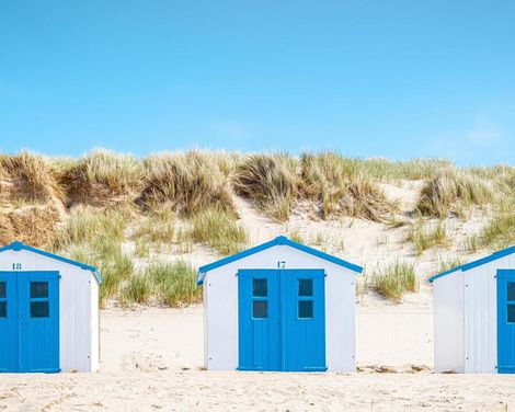 Kreuzfahrt mit MS Hamburg von Hamburg bis Kiel oder ab/an Hamburg