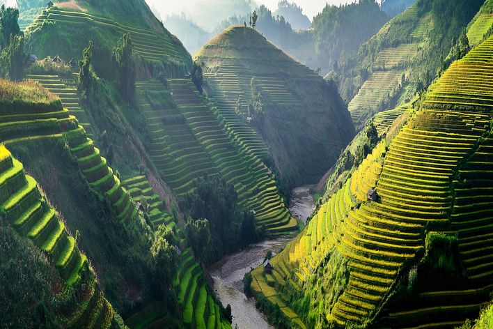 Mu cang chai Reisfelder in Vietnam