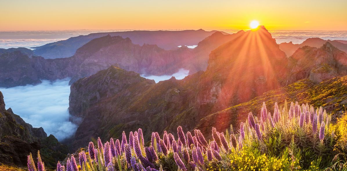 Sonnenuntergang auf Madeira