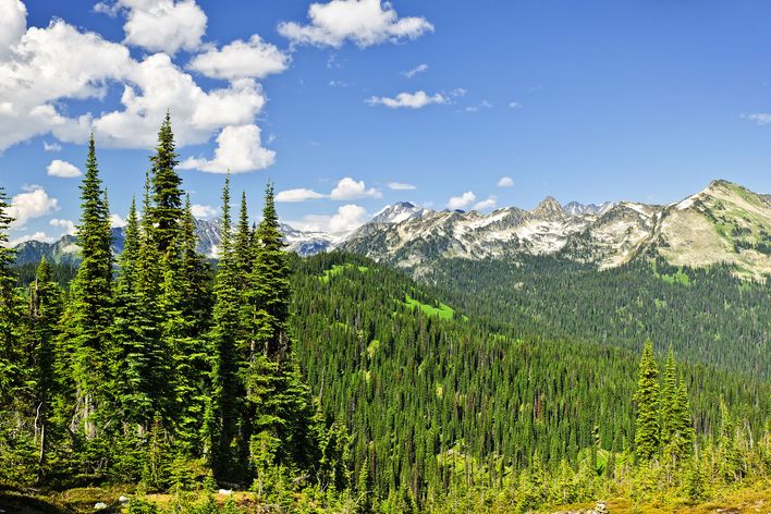 Mount Revelstoke Nationalpark in Kanada