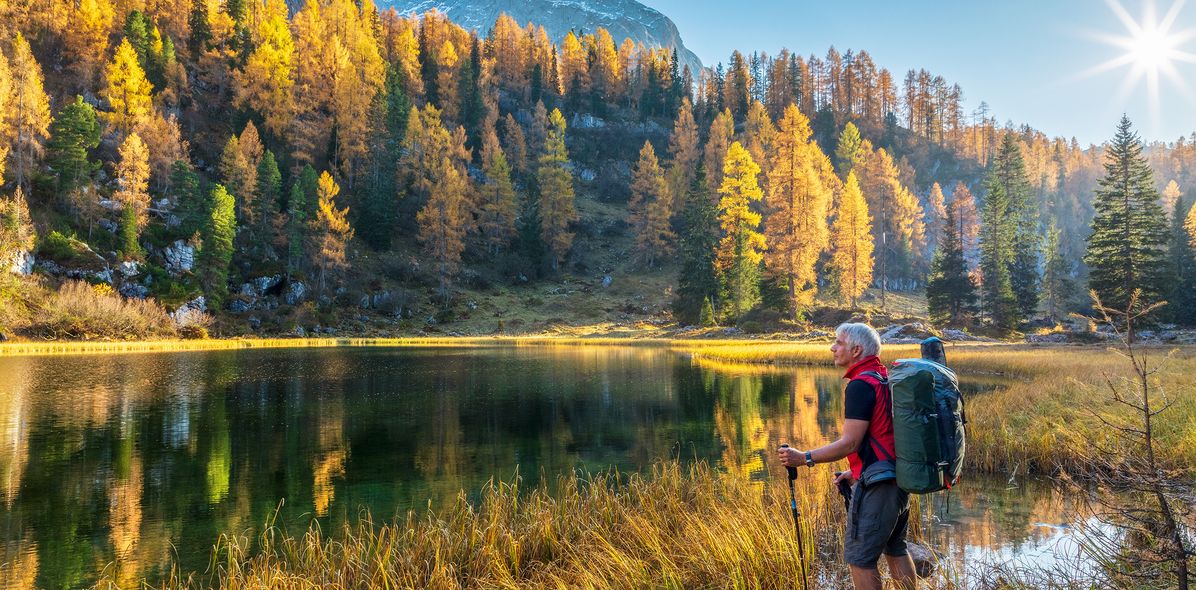 Mann beim Wandern am See im Wald
