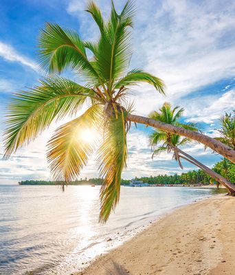 Dominikanische Republik Strand und Palmen