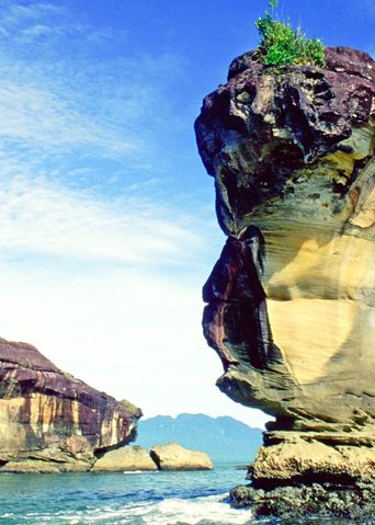 Nationalpark in Bako in Malaysia