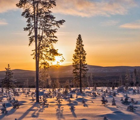 Lappland Winterlandschaft bei Sonnenuntergang