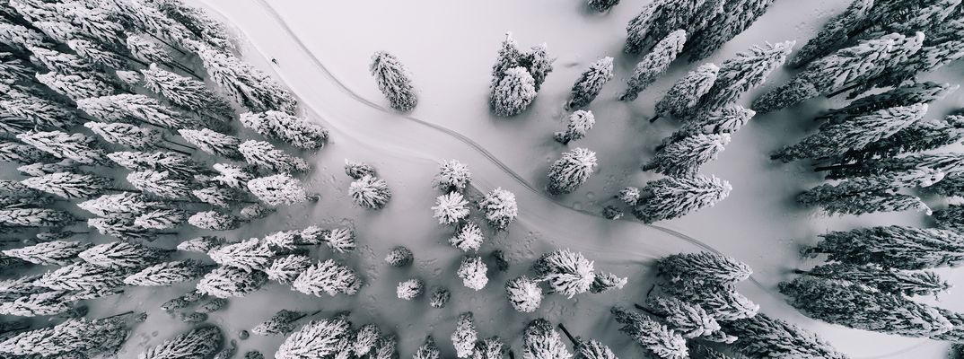 Luftaufnahme eine schneebedeckten Landschaft mit Blick auf Baumkronen und Loipe für Langlaufen