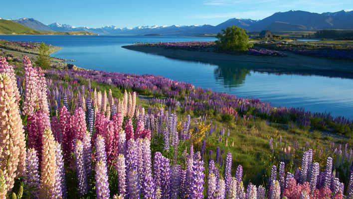 Landschaft in Neuseeland