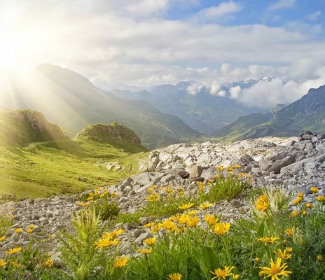 Landschaft in den Alpen