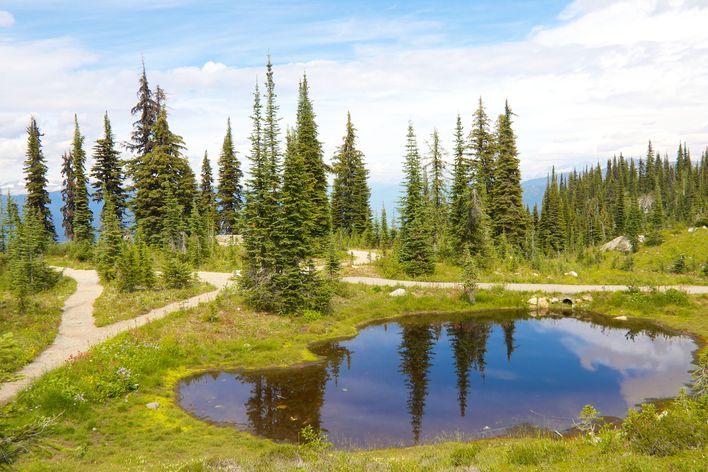 Mount Revelstoke Nationalpark in Kanada