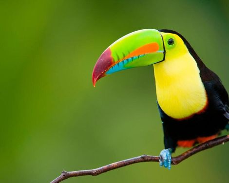 Grenzenlose Abenteuer in drei Ländern-3