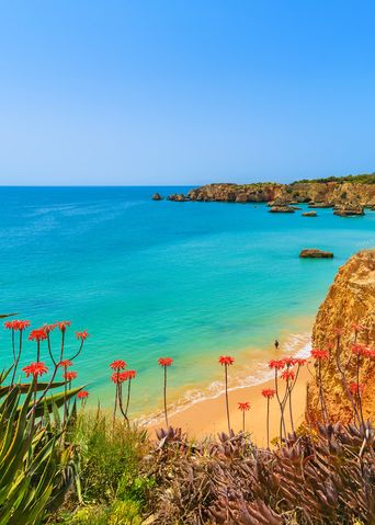 Blick auf das Meer von der Algarve in Portugal