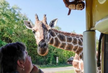 Lüneburger Heide - Hodenhagen