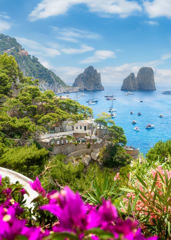 Blick über Blumen auf eine Küstenlinie mit Felsen und Meer auf Capri, Italien
