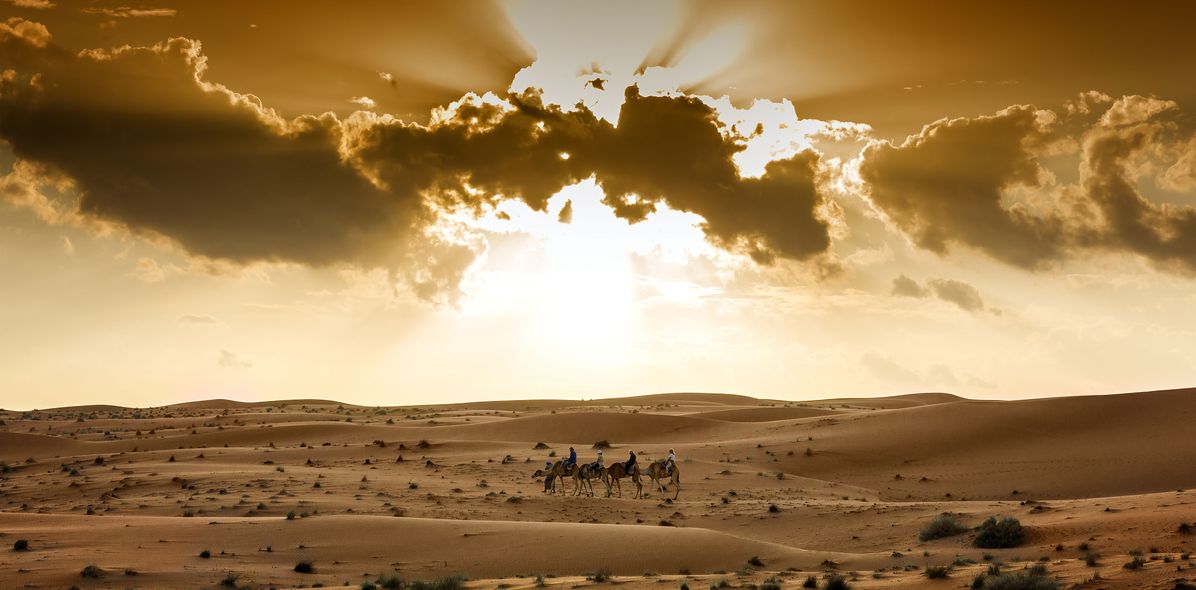 Wüste mit Kamelen und Sonnenschein