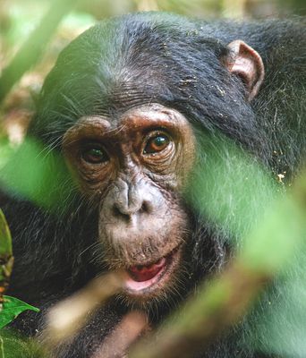 Uganda