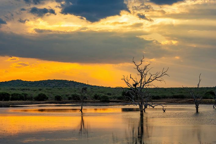 Blick auf See in Madikwe während des Sonnenuntergangs