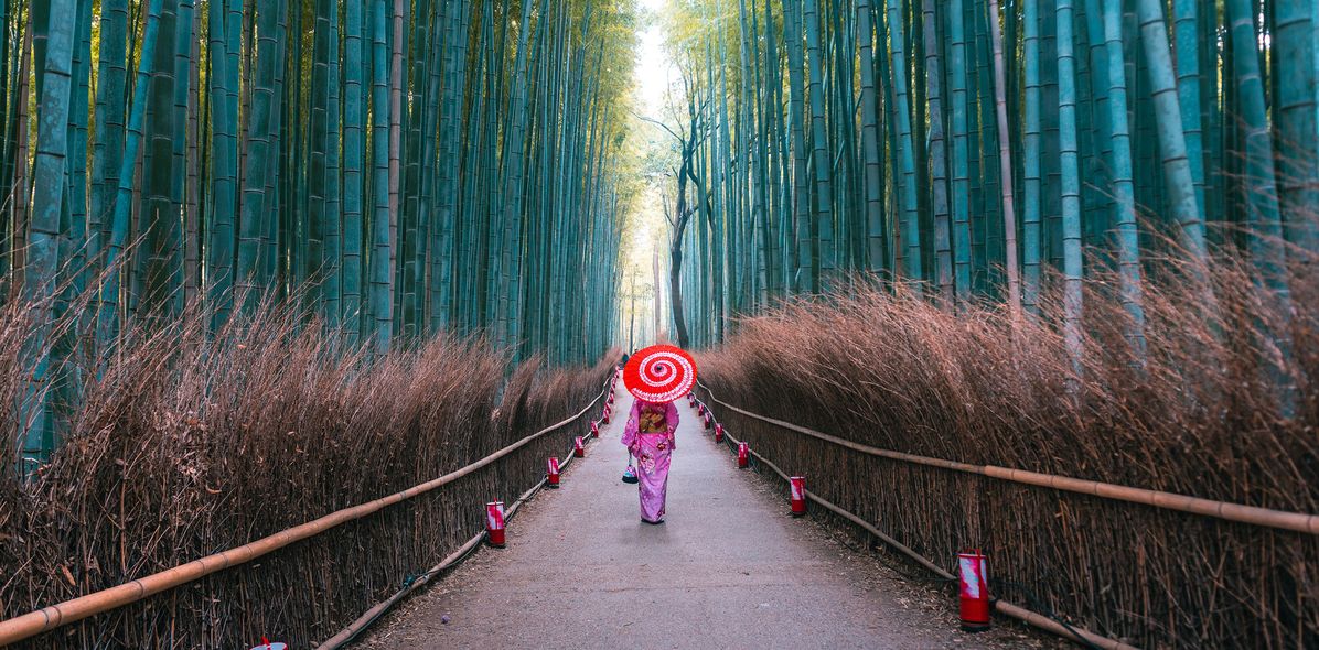 Frau in traditioneller Kleidung spaziert durch den Bambuswald in Kyoto, Japan