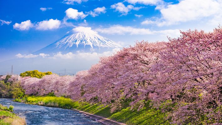 Mount Fuji in Japan