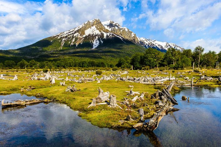Gebirgslandschaft bei Ushuaia mit See, Moorlandschaft und schneebedeckten Gipfeln