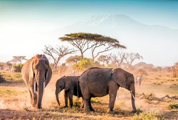Tansania & Kenia