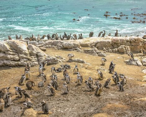 Zwischen Küste, Kultur & Kapstadt in 3-Sterne-Hotels-2