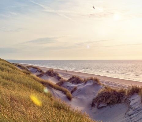 Strand in Zeeland