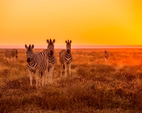 Eine Reise voller Kontraste