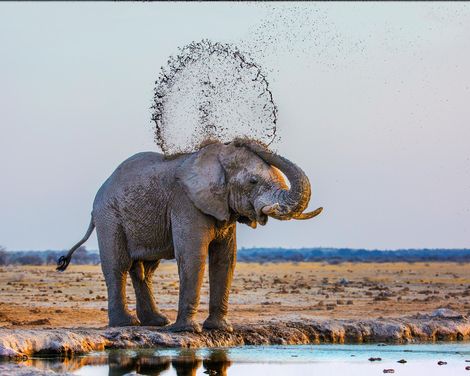 Wilde Weiten. Große Momente.