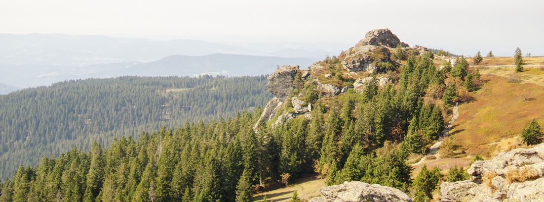 Ausblick vom Berg Großer Arber auf den Bayerischen Wald