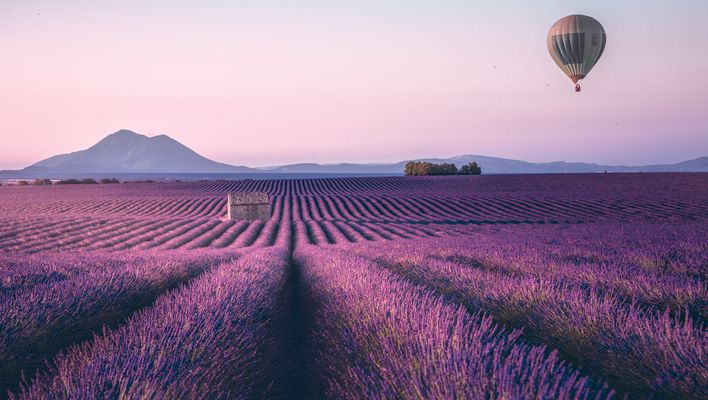 Lavendelfelder in der Provence