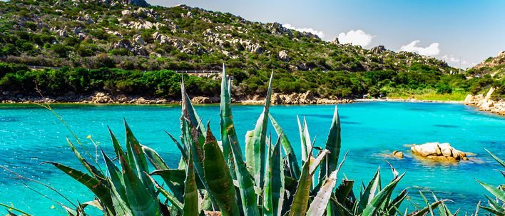 Olbia 