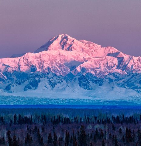 Denali-Massiv im Abendlicht mit rosa gefärbten Gipfeln