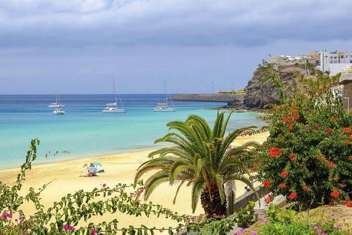 Blick auf Strand und Palmen