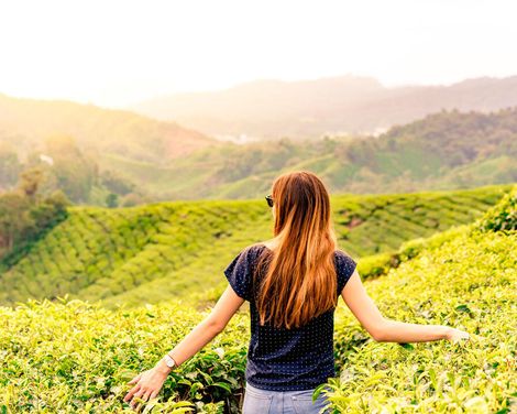 Kreuzfahrt mit der Diamond Princess ab/an Singapur inkl. Malaysia-Rundreise-1