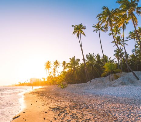 Sonnenuntergang an einem Palmenstrand in der Dominikanischen Republik mit weißem Sand und ruhigem Meer