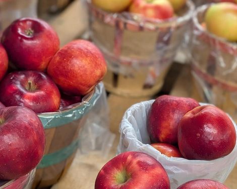 Kreuzfahrt mit der Independence of the Seas ab/an New York City inkl. Rundreise durch die Niagara-Region-2