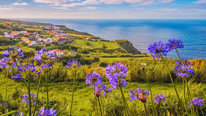 Blumen und Küste einer Azoreninsel